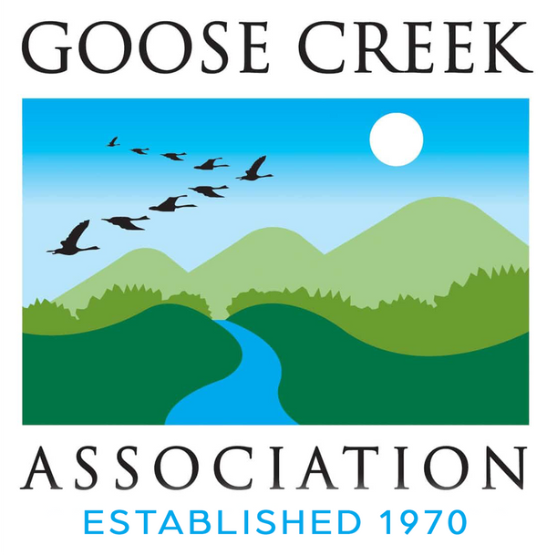 Goose Creek Association